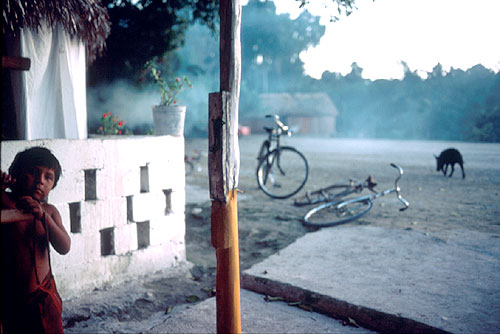 Coba,  Mexico